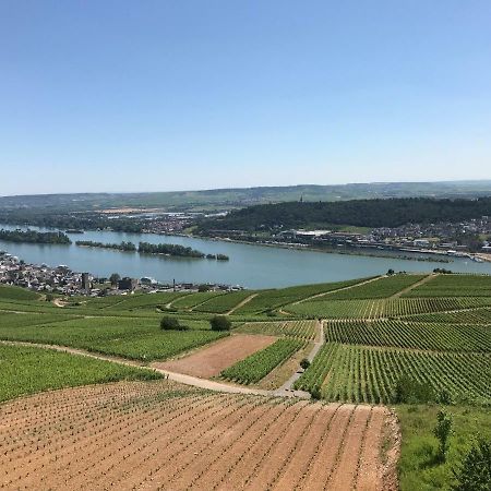 Ruedesheimer Wohlfuehloase Ruedesheim am Rhein Exterior photo